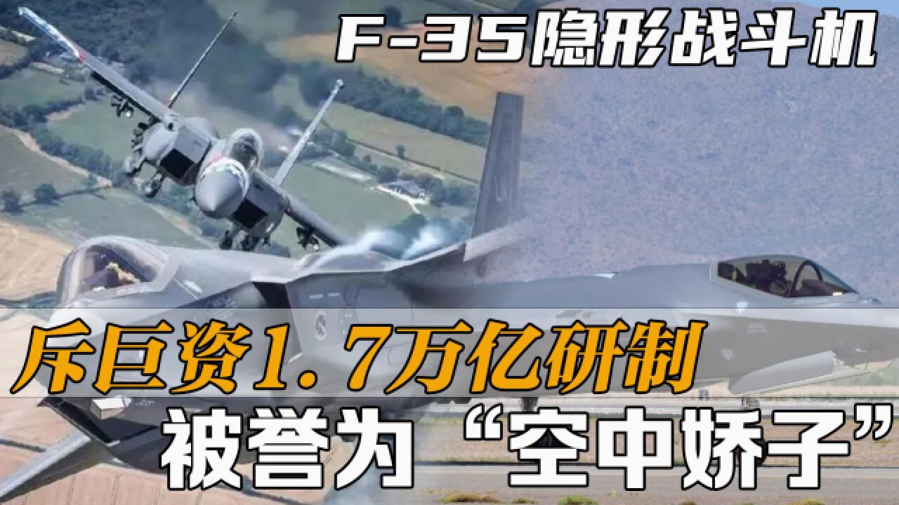 F35隐形战斗机,斥巨资1.7万亿研制,被誉为“空中娇子”