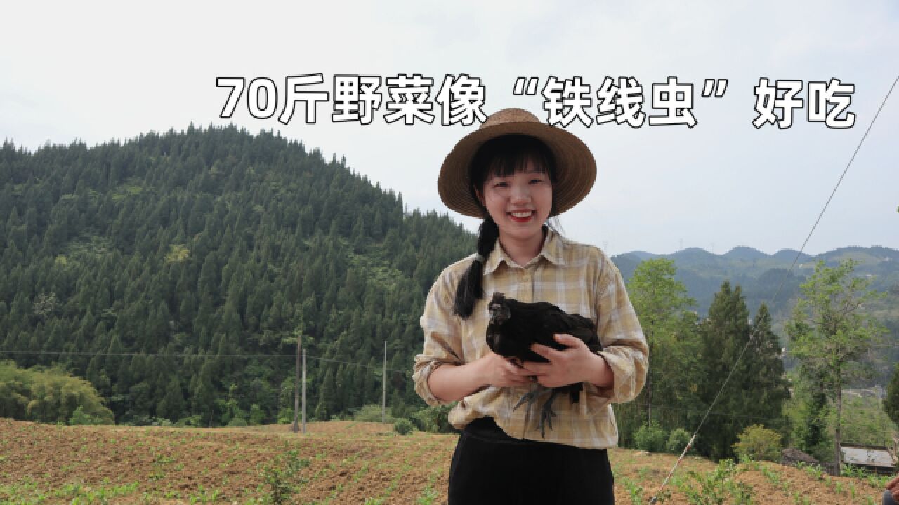 野菜做实验,用70斤蕨苔晒,猜最后晒出多少钱