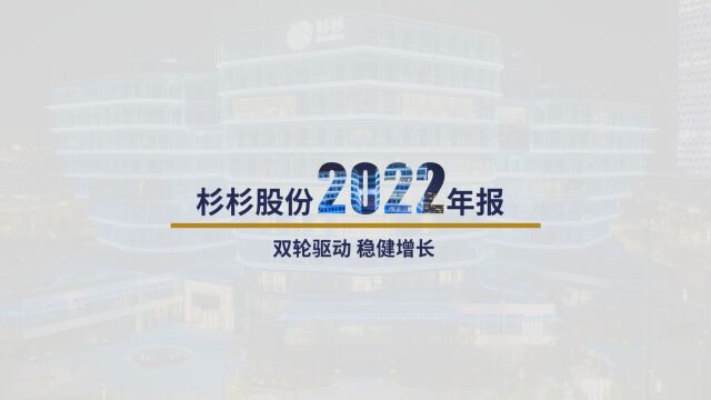 杉杉股份:2022年双主业驱动高速增长 扣非后净利同比大增23.53%