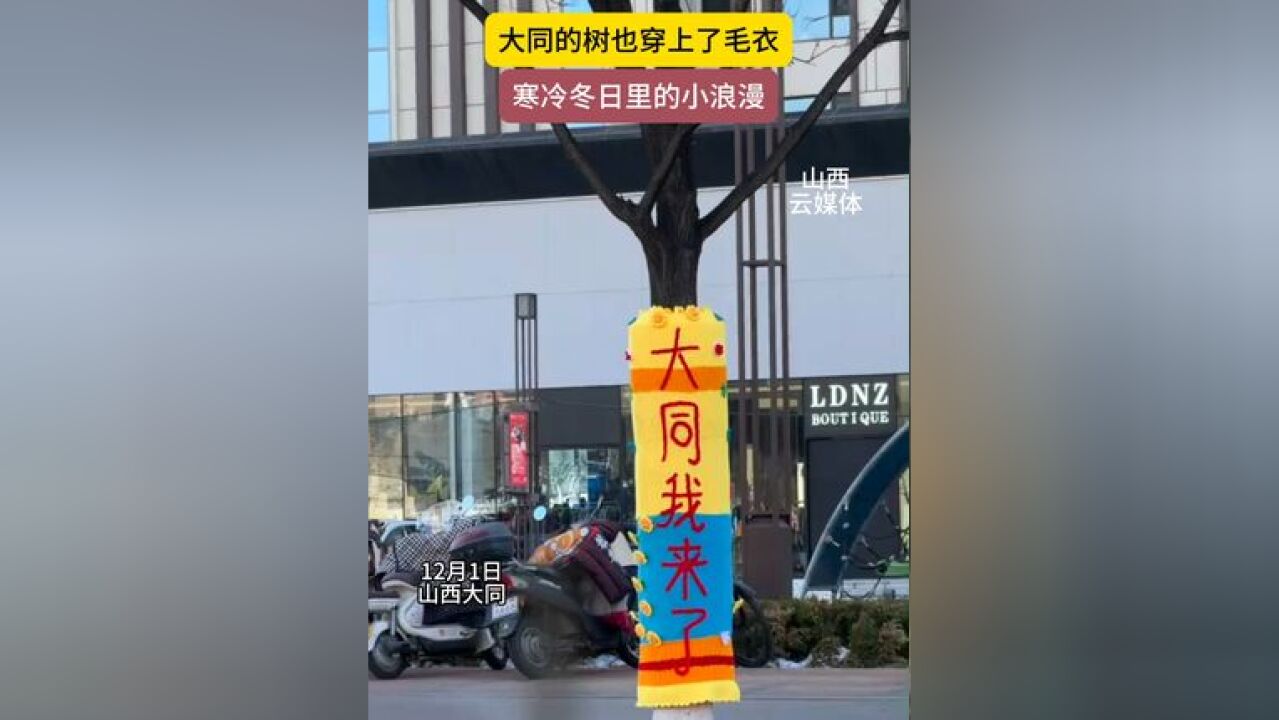 大同的树也穿上了毛衣,来自冬日里的小浪漫 采访