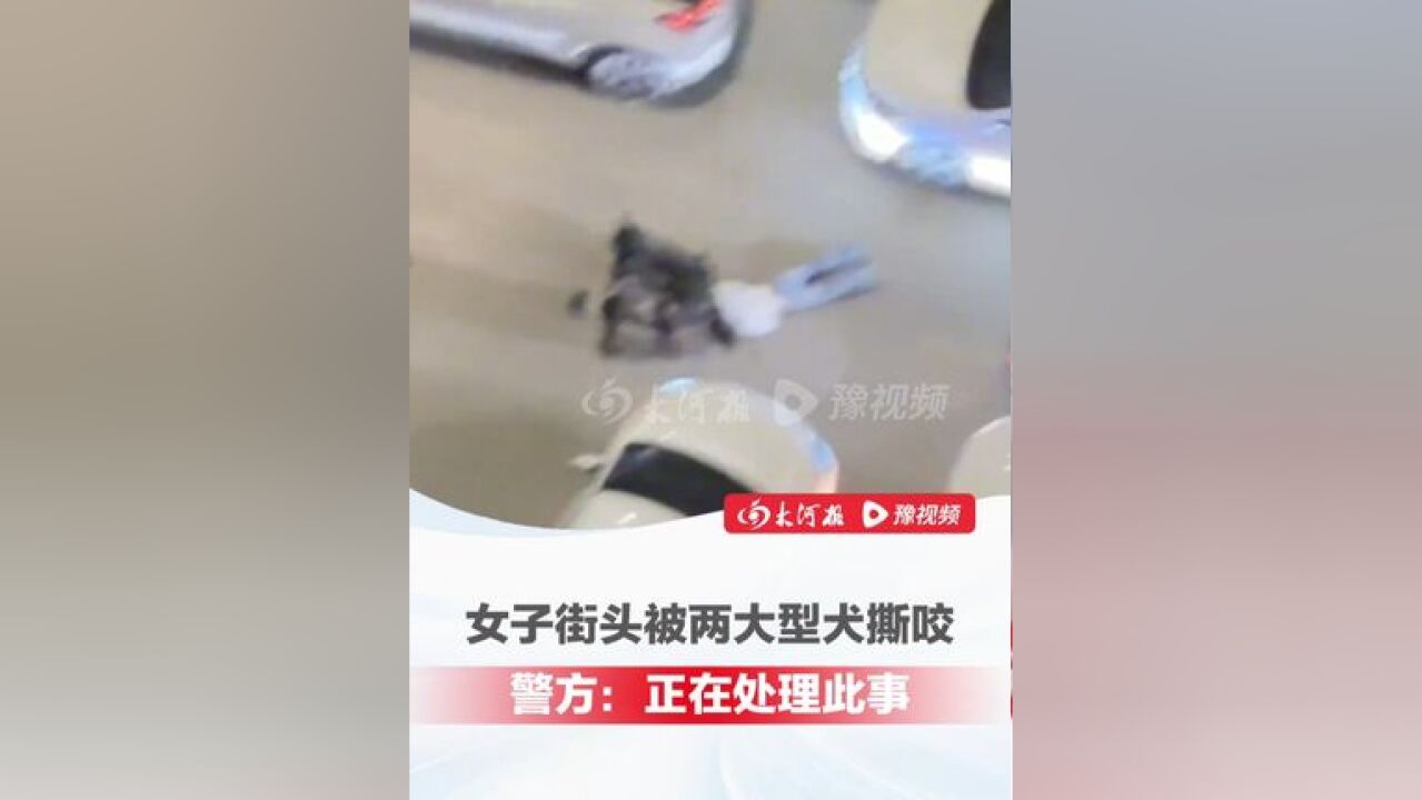 女子在西安街头被两大型犬撕咬,当地警方:业务部门正在处理此事