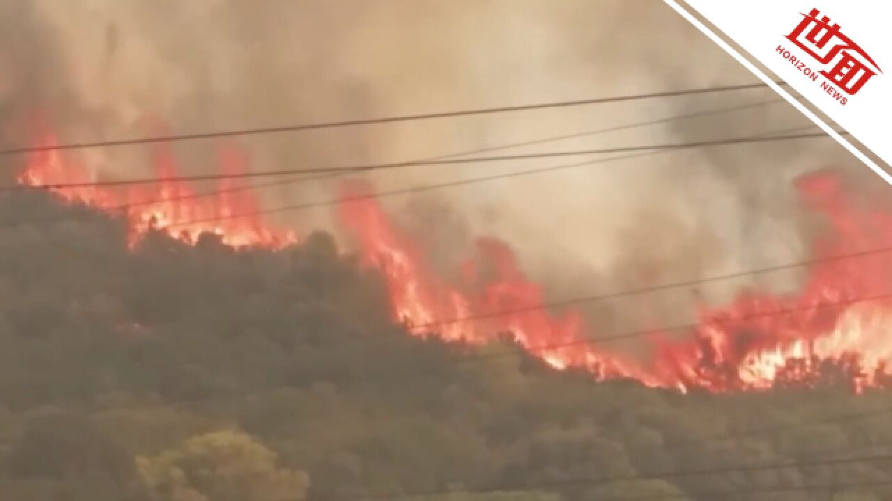 希腊罗德岛山火连续燃烧数日,数千游客拖行李从水路撤离