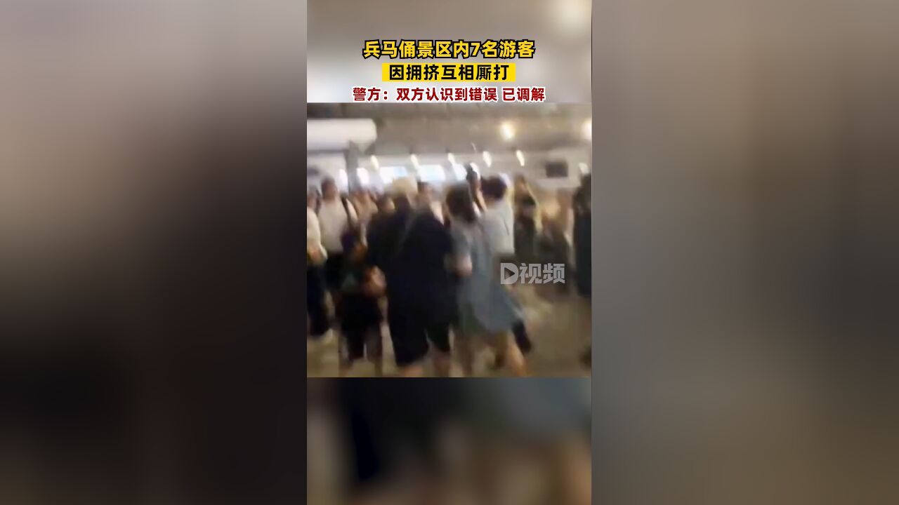 兵马俑景区内7人打架被警方通报:因拥挤发生争执,已达成调解协议