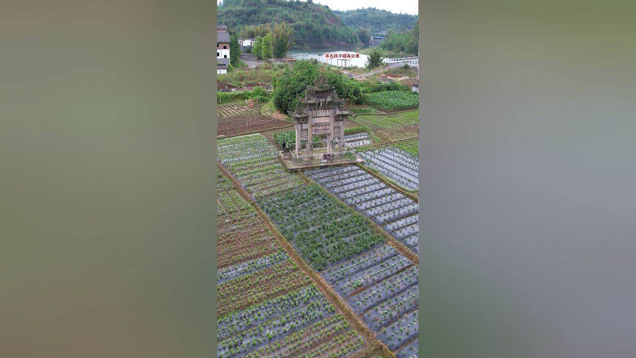 深山里的贞洁牌坊,清代一贞烈女子,18岁出嫁26岁守寡,终身未改嫁,赡养公婆养大孩子考取功名!