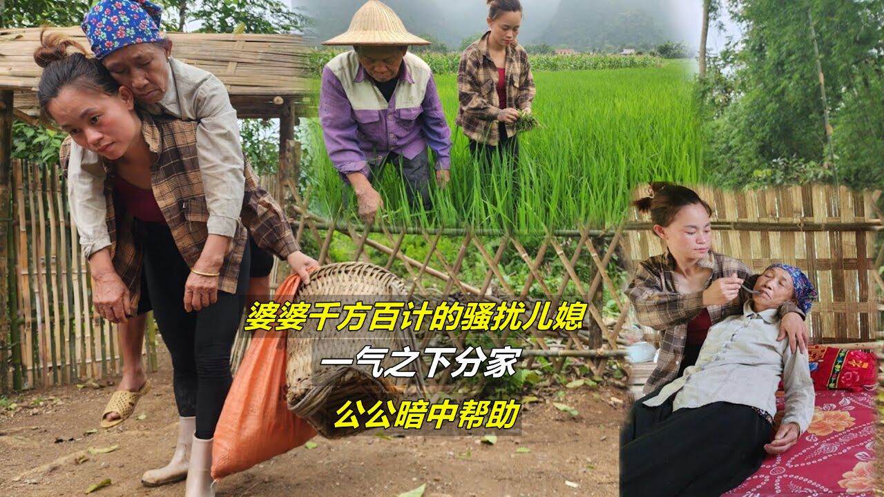 婆婆千方百计的骚扰儿媳,一气之下分家,公公暗中帮助|纪录片