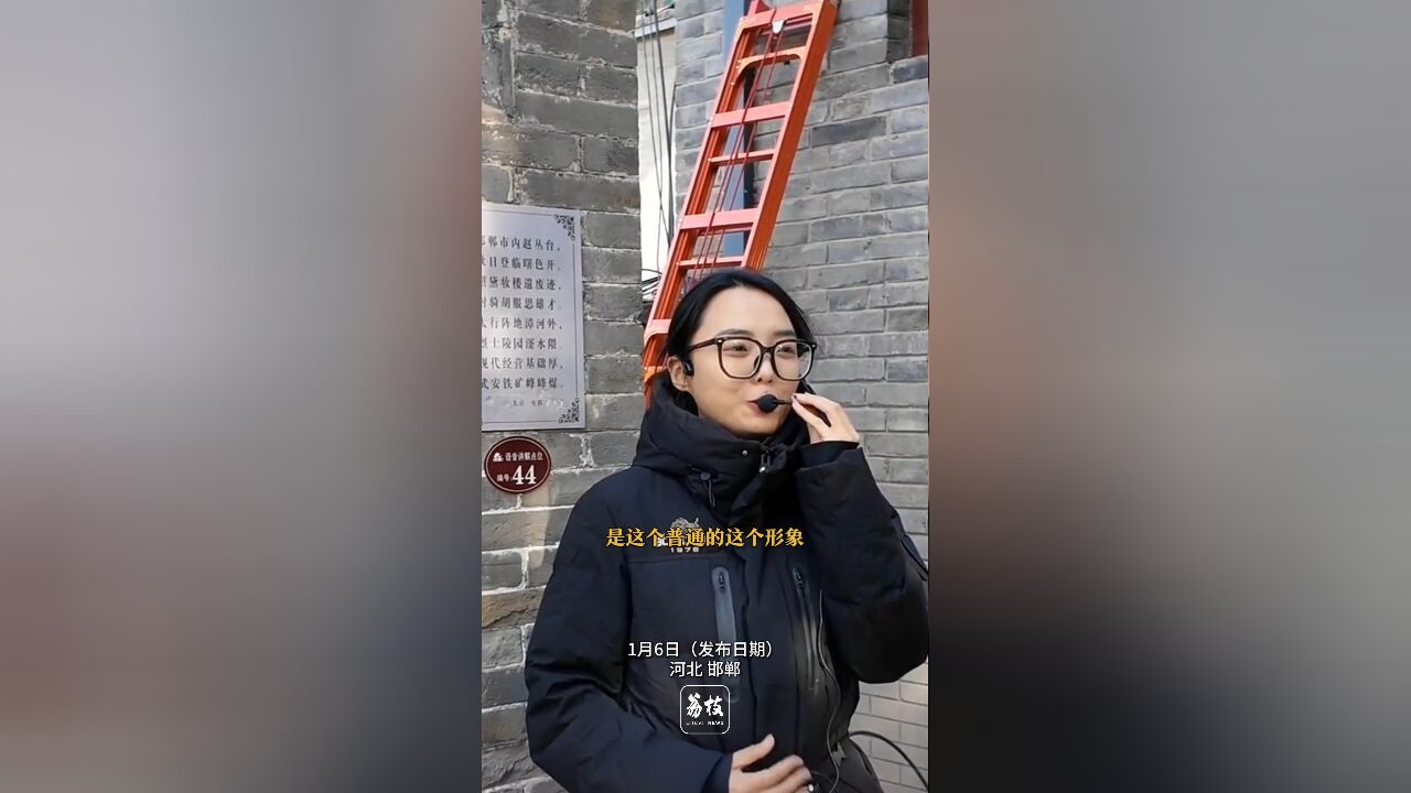 近日著名主持人周涛现身邯郸参加活动,一名顶着“鸡窝头”造型的讲解员女孩走红