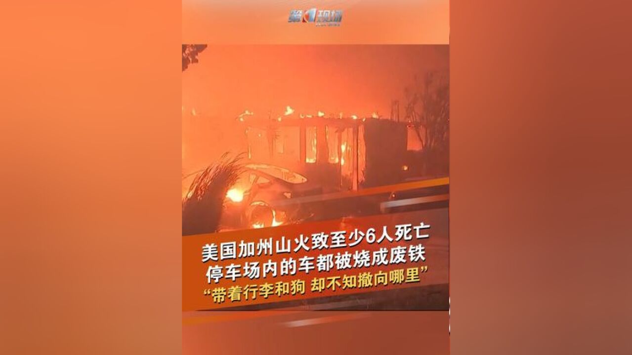 美国加利福尼亚州南部洛杉矶地区7日燃起的山火持续肆虐,据美国媒体报道,截至当地时间9日下午,山火已导致至少6人死亡,大火烧毁数千栋房屋建筑,...