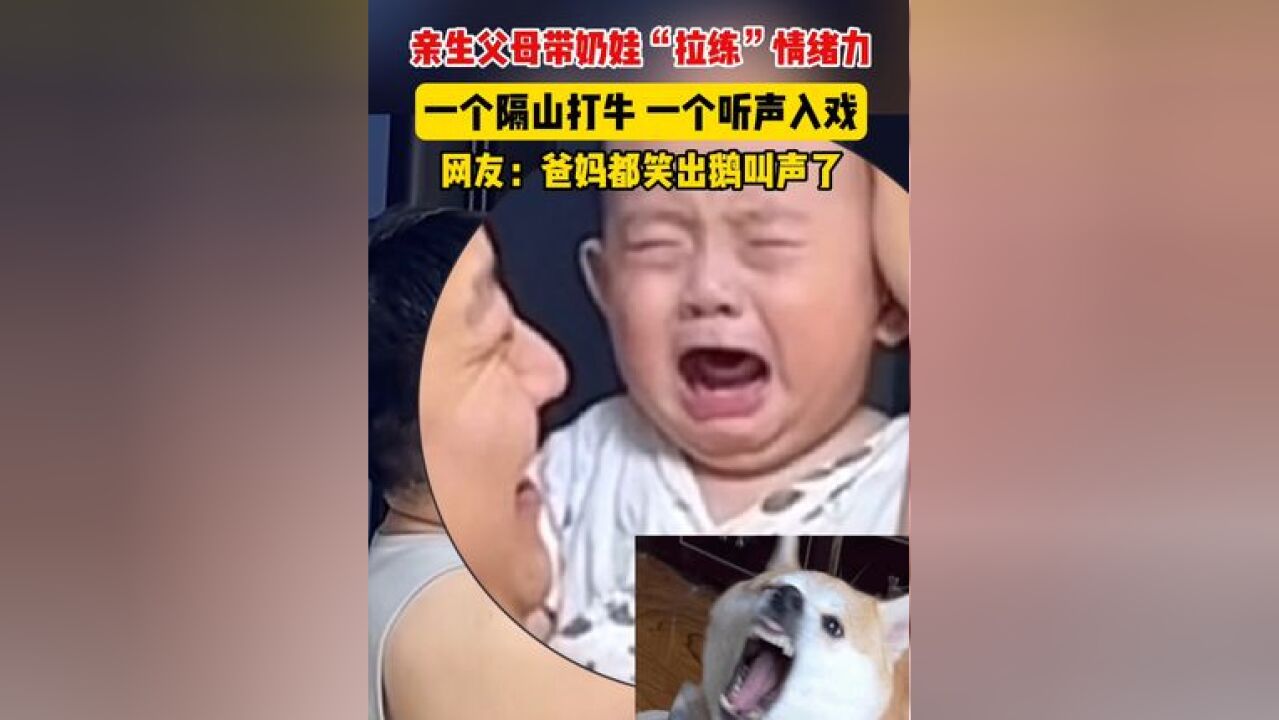 亲生父母带奶娃“拉练”情绪力 一个隔山打牛,一个听声入戏!