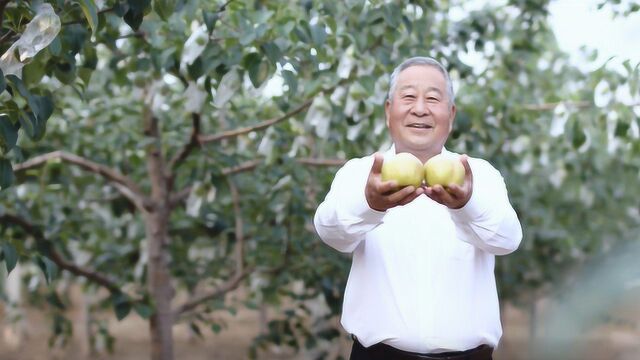 【70年70城】记住寿阳!在这里,高质量转型发展“寿阳路径”