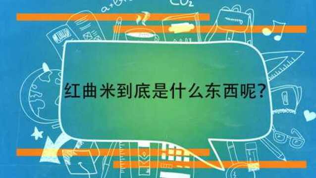 红曲米到底是什么东西呢?