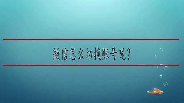 微信怎么切换账号呢?