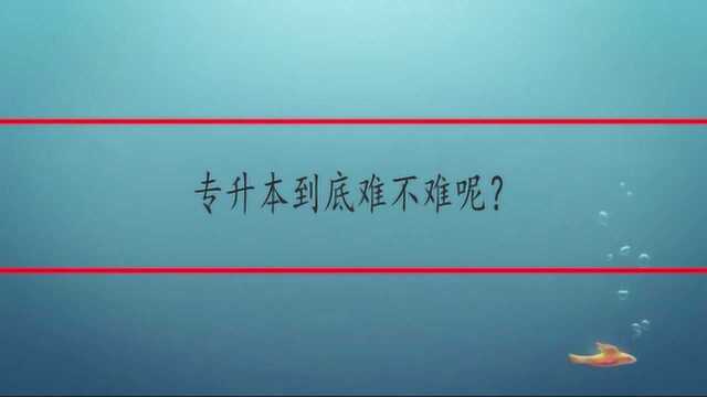 专升本到底难不难呢?