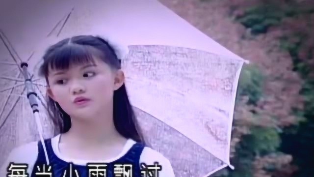 王雪晶经典儿歌《小雨中的回忆》,歌声甜美动听,宛如天籁之音