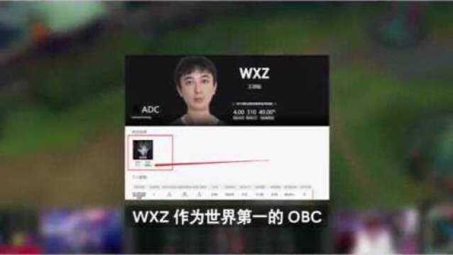 wxz:世界第一OBC了解一下.