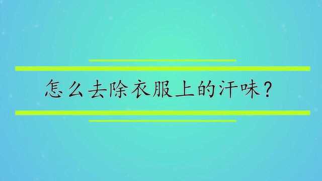 怎么去除衣服上的汗味?