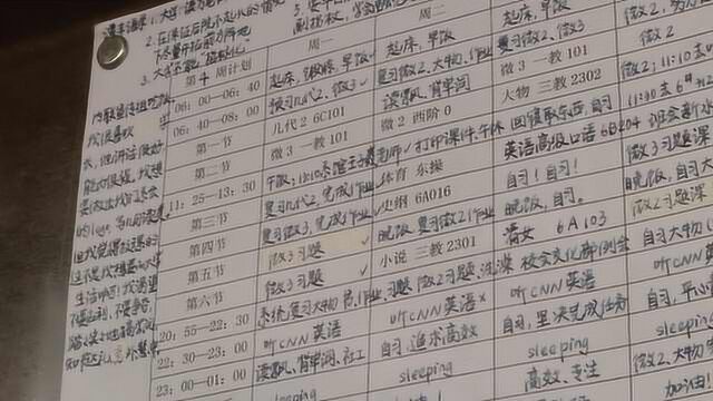 早6点学到晚1点!清华学霸计划书走红,网友:写容易执行太难