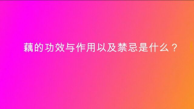 藕的功效与作用以及禁忌是什么?