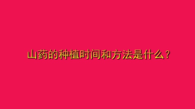 山药的种植时间和方法是什么?