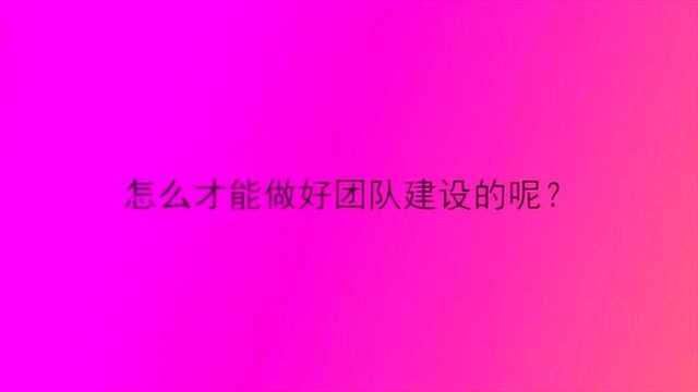 怎么才能做好团队建设的呢?