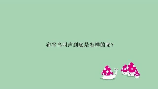 布谷鸟叫声到底是怎样的呢?