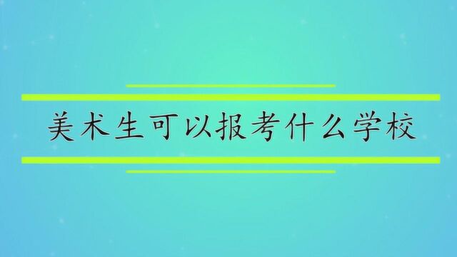 美术生可以报考什么学校