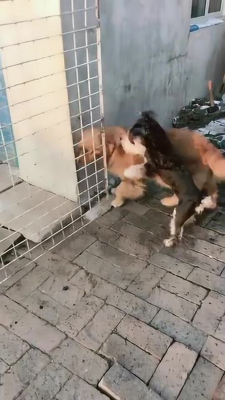 快点出来玩小点声一看就是惯犯