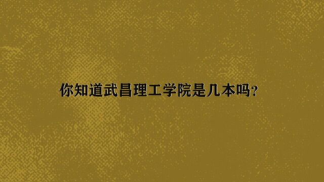 你知道武昌理工学院是几本吗?