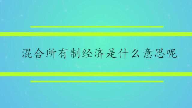 混合所有制经济是什么意思呢