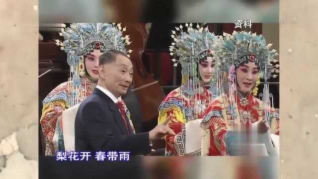 梅葆玖胡文阁师徒联袂演唱《梨花开 春带雨》,太精彩了,真好听