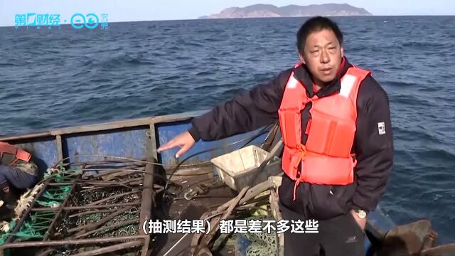 獐子岛:现场打捞扇贝大量死亡,平均亩产不足5公斤