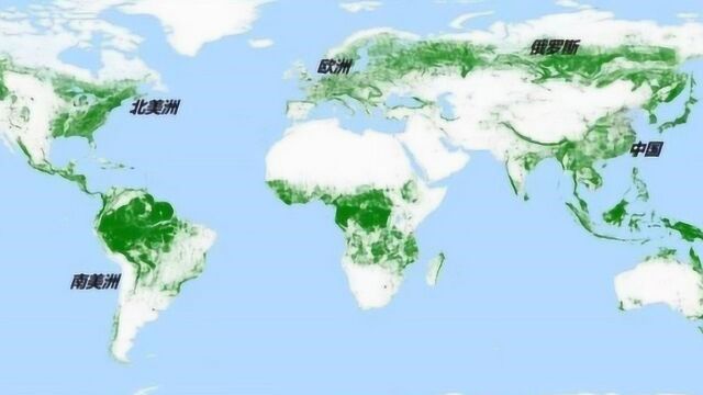 德国宇航局发布世界森林面积地图,我国已被大片绿色覆盖