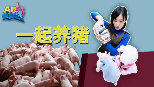 猪饲料的野心:进军养猪领域,如何影响行业格局?