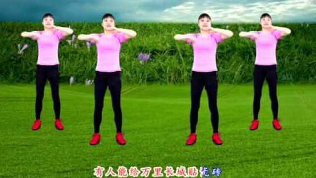 火热流行DJ《装什么装》歌词幽默风趣,让人笑的停不下来!