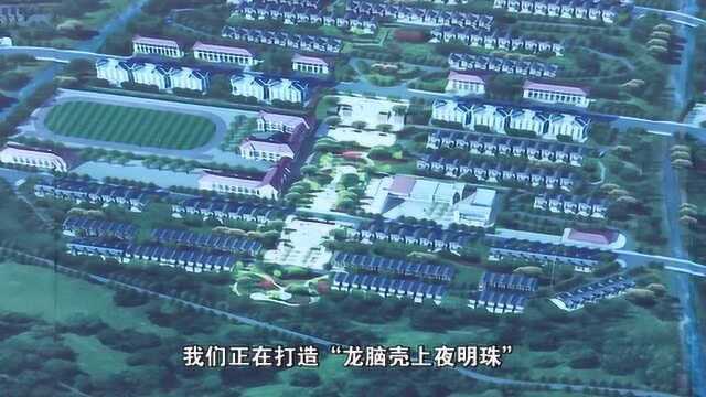 野牛坪乡:乡村振兴书记谈