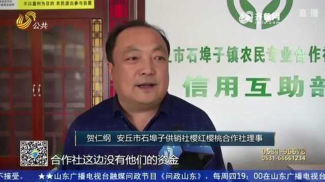 我省供销社参与农村合作经融发展有成功的吗?来看安丘这家供销社