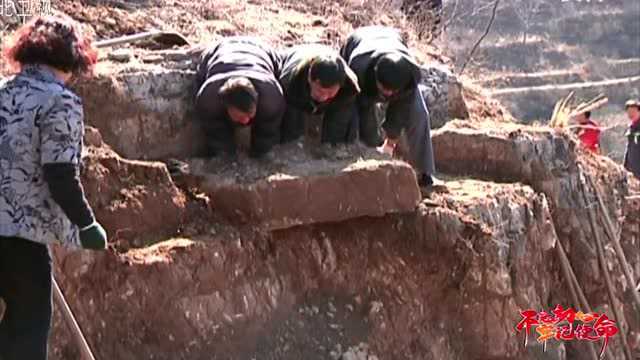 【不忘初心 牢记使命】刘留根:拔穷根 松穷土 走上乡村振兴路