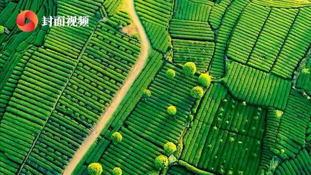 什么是雅安?《中国国家地理》推出160页特辑