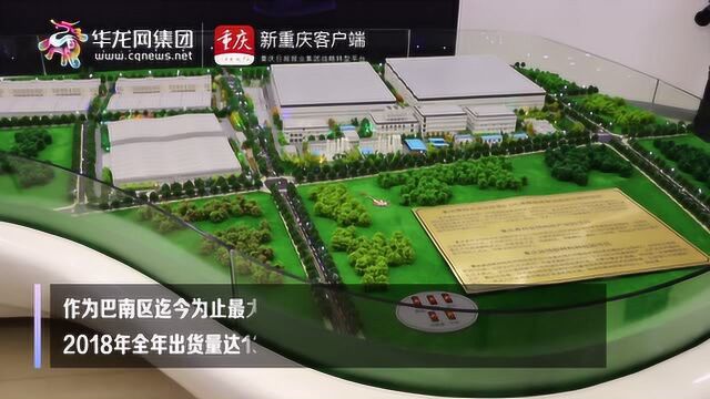 “国际物流大通道”走进巴南区重庆公路物流基地