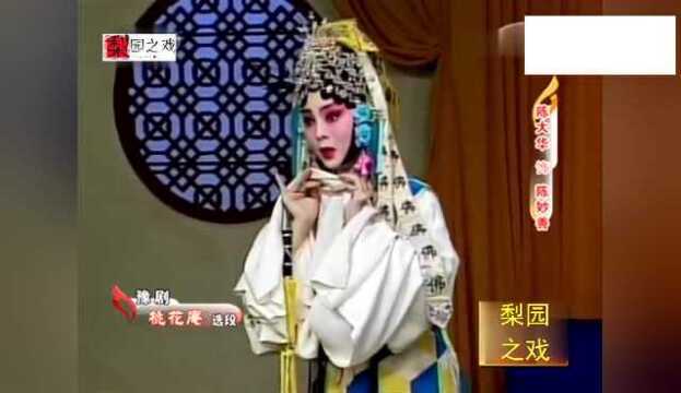 陈大华演唱豫剧《桃花庵》选段 字正腔圆韵味十足