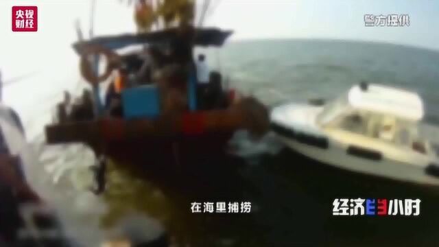 潍坊警方抓获“海霸”犯罪团伙成员54名,涉案金额3亿多元!