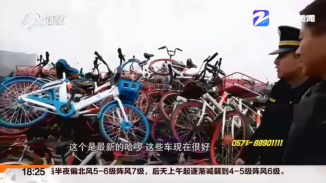 共享单车“清废行动”正在进行 除了单车“坟场”它们将何去何从