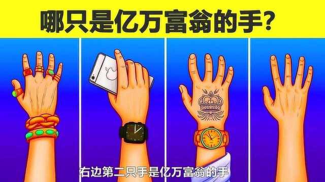 脑力测试:图中四只手里,哪一只是亿万富翁的手呢?