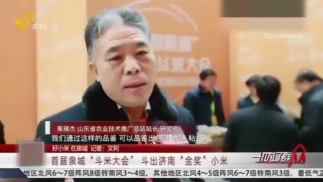 济南小米哪家强?济南举办首届泉城斗米大会 “斗”出最好的小米