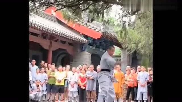 少林寺中华功夫,少林弟子激情演示蛇拳,真得似如蛇动!