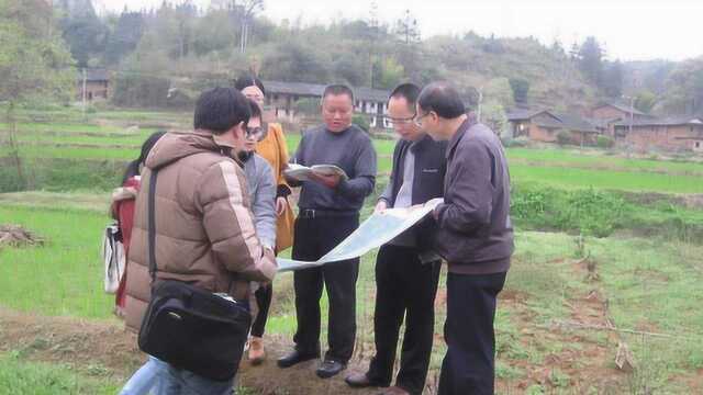 农村土地流转新模式,3招教你合理赚大钱,看完农民高兴了!