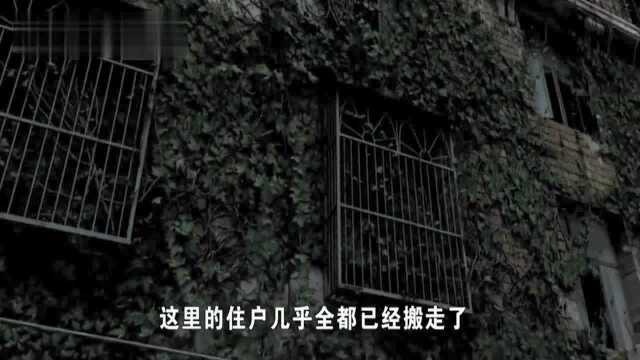 鬼楼流言疯传网络,全楼居民惶恐搬家,厉害了