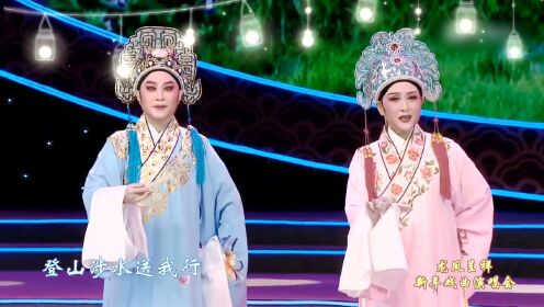 Thumbplayer Poster Plugin Image