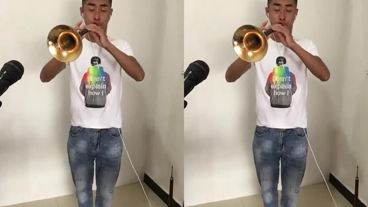 赵小飞唢呐版白龙马