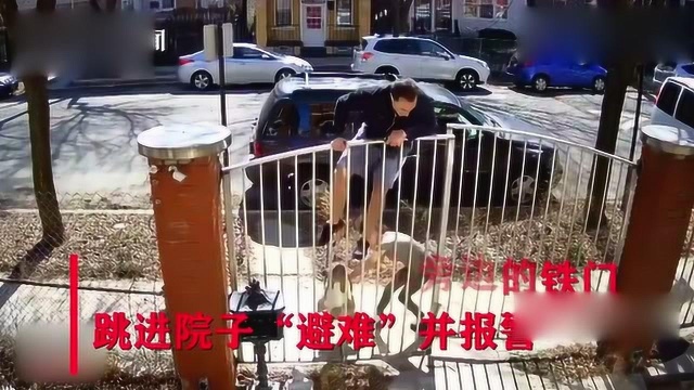 在市区养烈性犬到底有多危险?一男子竟然被一直斗牛犬吓得爬门,yukuw