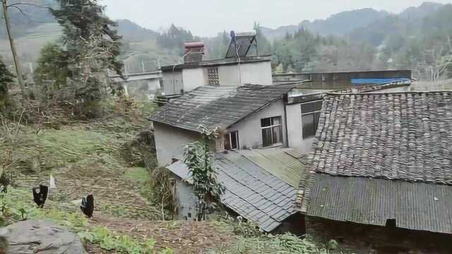 前吉水来三六九房占优势,风水大师寻龙点穴阳宅住宅家居别墅楼房办公室风水